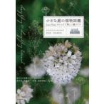 小さな庭の植物図鑑 Lucy Grayのシックで美しい庭づくり