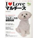 I Loveマルチーズ キュートなマルチーズ、ここにいます。