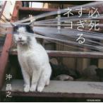 必死すぎるネコ 前後不覚篇