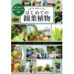 はじめての観葉植物 育てやすい強いグリーンが集結 決め手は水やり、置き場所、植物の選び方