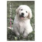 ..... собака ...