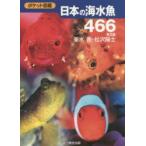 日本の海水魚466