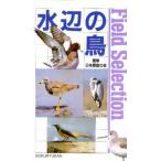 水辺の鳥