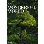 ゆず／WONDERFUL WORLD ハーモニカ＆ギター