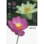 蓮に魅せられて 育てる、見る、食する-花蓮を育てませんか