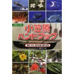  маленький .. рука книжка история, культура, море. живое существо, суша. живое существо 
