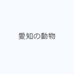  Aichi. животное 