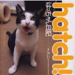 hatch! はっちゃん日記