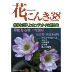 花にんき ナンバー38