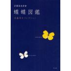 京都洛北岩倉蝶蝶図鑑 佐藤英次コレクション