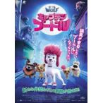  Captain * пудель [DVD]