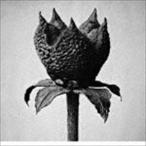 Masayoshi Fujita / Book Of Life [CD]