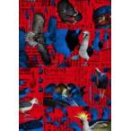 【特典付】シナントロープ Blu-ray Box (初回仕様) [Blu-ray]