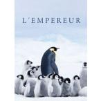 император пингвин только ..[DVD]