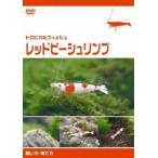  тропический рыба Red Bee Shrimp .. person *.. person [DVD]