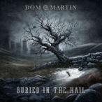dom* Martin / Bear lido* in * The *he il [CD]