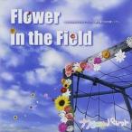 カラフルパレット / Flower in the Field [CD]