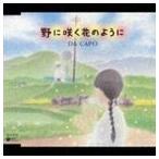 da* машина po/.... цветок такой как [CD]