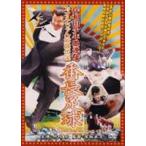  Kishiwada подросток . полосный .kaoru Chan сильнейший легенда номер длина пара лампочка [DVD]
