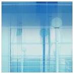 シュッド / グレート・プリテンド [CD]