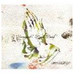 Immigrant*s Bossa Band / MESSAGE [CD]