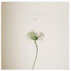 Lucy Campanella / ovel [CD]