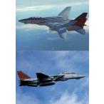 F-14A トムキャット ファイナル [DVD]