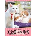 Yahoo! Yahoo!ショッピング(ヤフー ショッピング)いやし猫DVD 猫侍 玉之丞ときどき春馬 [DVD]