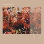  Hatakeyama земля flat / Ray to* springs [CD]
