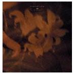 ショッピングforever 清春 / FOREVER LOVE（初回生産限定盤／CD＋DVD） [CD]