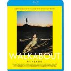 прекрасный .. приключение путешествие [Blu-ray]