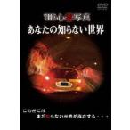 THE сердце . фотография ваш .. нет мир [DVD]