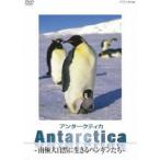 Antarctica~ юг высшее * большой природа . сырой .. пингвин ..~ [DVD]