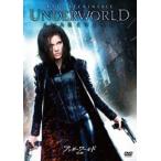  нижний world ..[DVD]