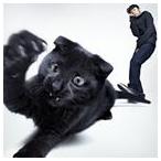 .ROY /.......[CD]