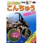 ko.... специальный 100 [DVD]