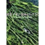 . лампочка ужасы okinawanokowai - нет 4 [DVD]