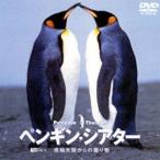  пингвин * эффект живого звука | юг высшее большой суша c подарок [DVD]