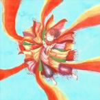 Yahoo! Yahoo!ショッピング(ヤフー ショッピング)Foorin team E / Paprika（通常盤） [CD]