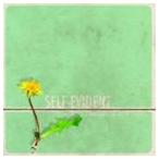 Self-Evident / We Built A Fortress On Short Notice [CD]