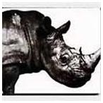 ショッピングミスチル Mr.Children / Mr.Children 1992-1995 [CD]