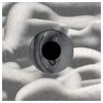TaQ / ongaq： stromatolite [CD]