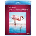  Disney nature | фламинго .. осуществлен земля. секрет [Blu-ray]