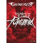GALNERYUS／FALLING INTO THE FLAMES OF PURGATORY（通常版／DVD＋2CD） [DVD]