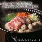 みつせ鶏  がばうま鍋/3~4人分(1 九州 佐賀 贅沢 ギフト 贈り物 お取り寄せ みつせ鶏本舗 みつせ鶏  がばうま鍋/3~4人分(1箱)