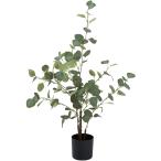 [roomnhome(ルームアンドホーム)]  人工観葉植物 ユーカリ