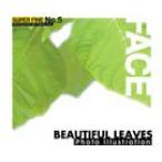 SUPER FINE No.5 BEAUTIFUL LEAVES 