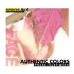 SUPER FINE No.6 AUTHENTIC COLORS 