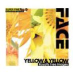 SUPER FINE No.9 YELLOW &amp; YELLOW 