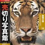 ڤ̿ JFI 028 ưʪ The Animal Kingdom 